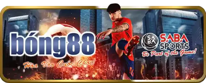 Đá gà cựa sắt tại 3hb888